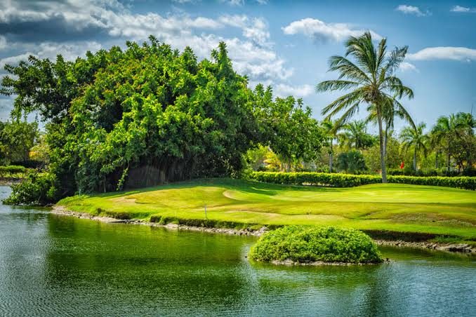 Cocotal Golf & Country Club